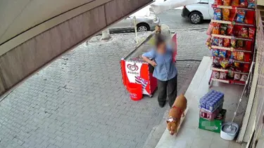 Pitbull saldırısında parmağı koptu, şiir yazdı
