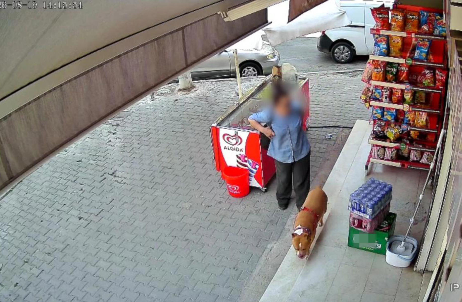 Pitbull saldırısında parmağı koptu, şiir yazdı