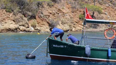 Karadan ulaşılamayan koylardan 306 ton çöp toplandı