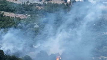 Yıldırım düştü, ormanlık alanda yangın çıktı