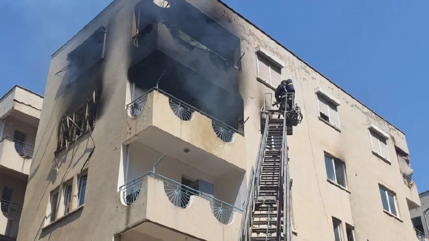 Yangından korkan hamile kediyi itfaiye ekipleri kurtardı 3 Yangından korkan hamile kediyi itfaiye ekipleri kurtardı 3