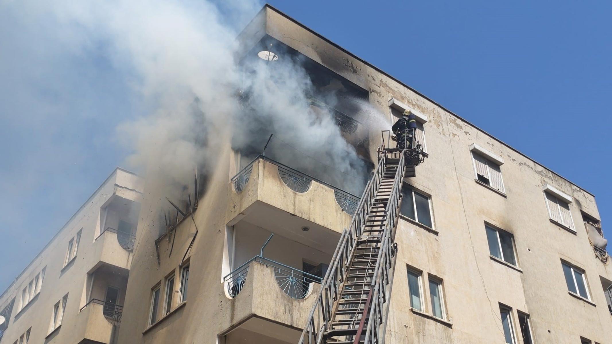 Yangından korkan hamile kediyi itfaiye ekipleri kurtardı