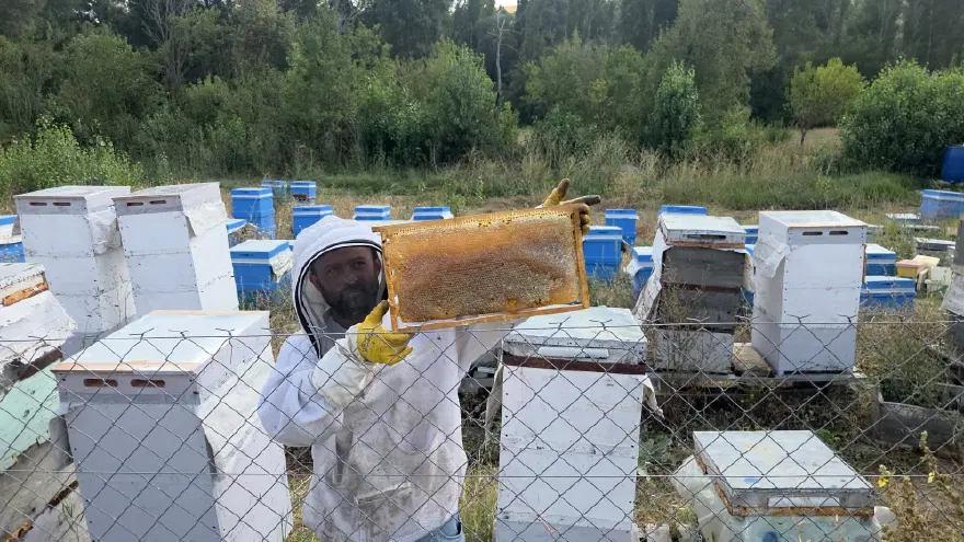 Hobi olarak başladı. Sayıyı 250'ye çıkardı 