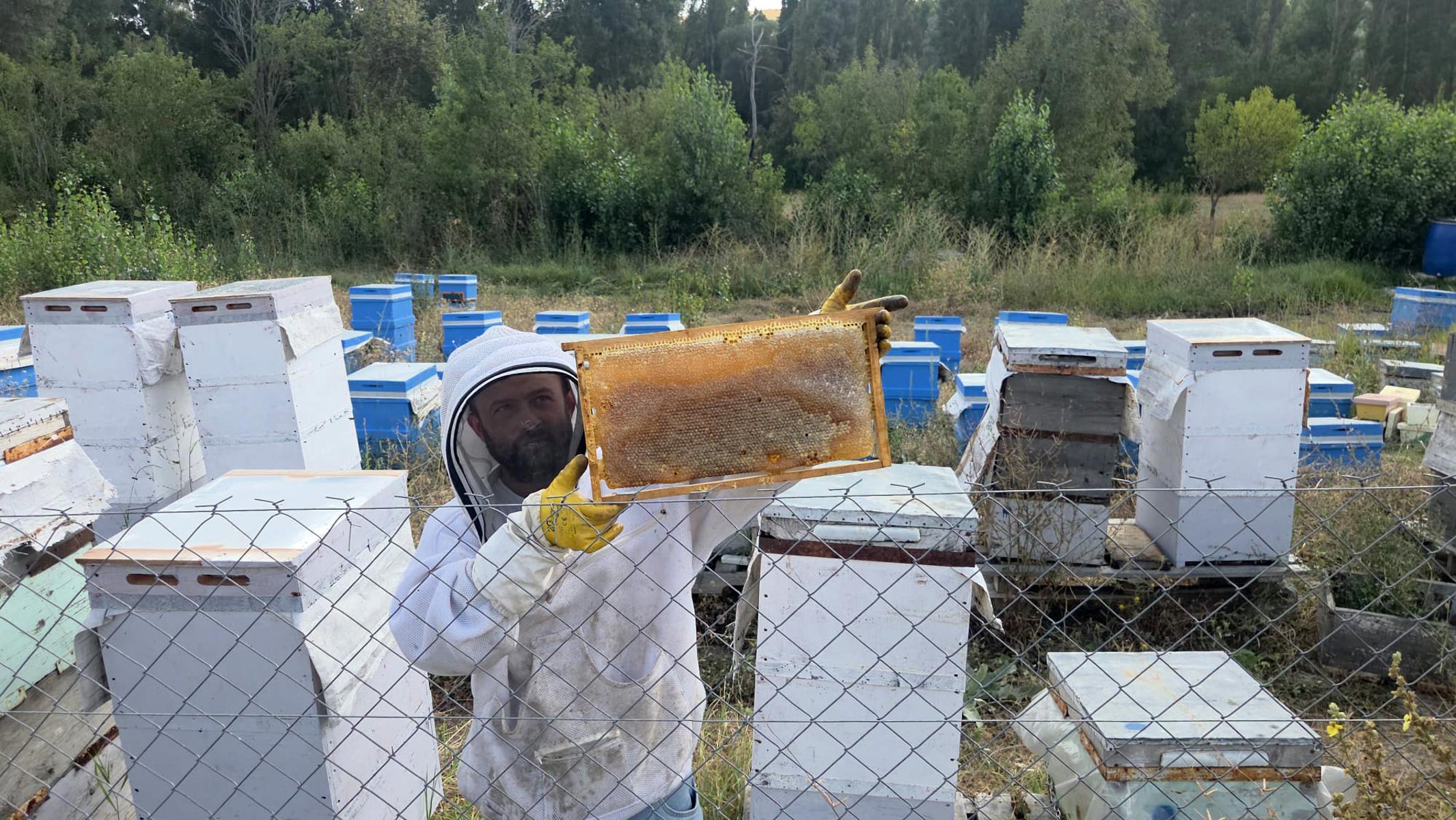 Hobi olarak başladı. Sayıyı 250'ye çıkardı