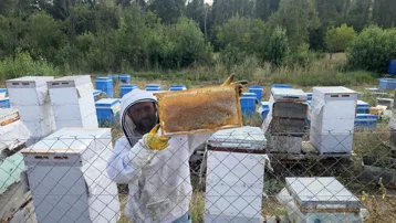 Hobi olarak başladı. Sayıyı 250'ye çıkardı