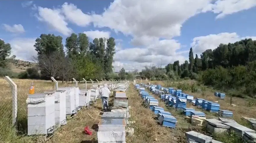 Hobi olarak başladı. Sayıyı 250'ye çıkardı 2