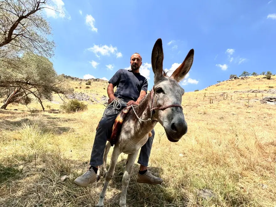 "EŞEĞİMİ NORMAL BİR ARAÇ GİBİ ÇEKİCİYE YÜKLEMİŞLER" 1 "EŞEĞİMİ NORMAL BİR ARAÇ GİBİ ÇEKİCİYE YÜKLEMİŞLER" 1