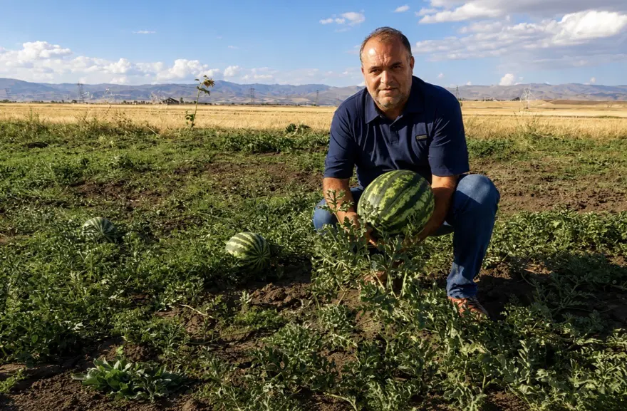 Ağrı'da hasat başladı. Tonlarca verim bekleniyor 1 Ağrı'da hasat başladı. Tonlarca verim bekleniyor 1