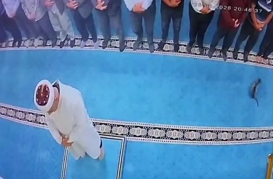 Camide kediyi tekmeleyen saldırgana gözaltı 