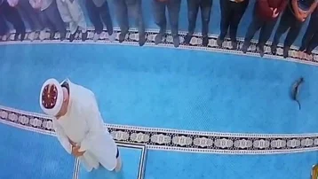 Camide kediyi tekmeleyen saldırgana gözaltı
