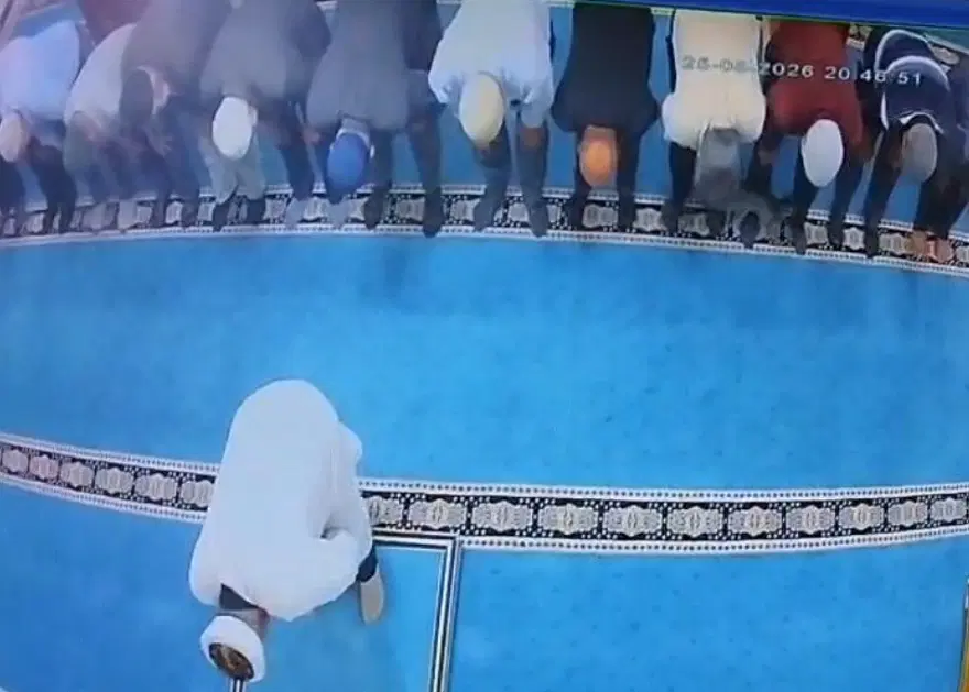 Camide kediyi tekmeleyen saldırgana gözaltı 1