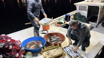 Gece gündüz denizde bolluk. Bereketli sezon yaşanıyor