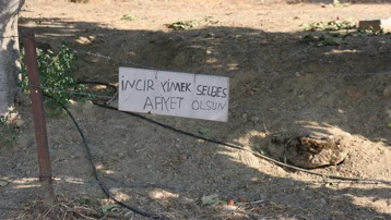 Bahçeye asılan not güldürdü. "İncir yimek selbes"