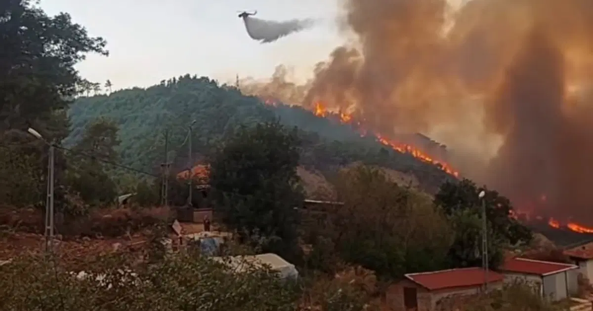 Antalya'da orman yangını. Alevler rüzgarın etkisiyle büyüdü