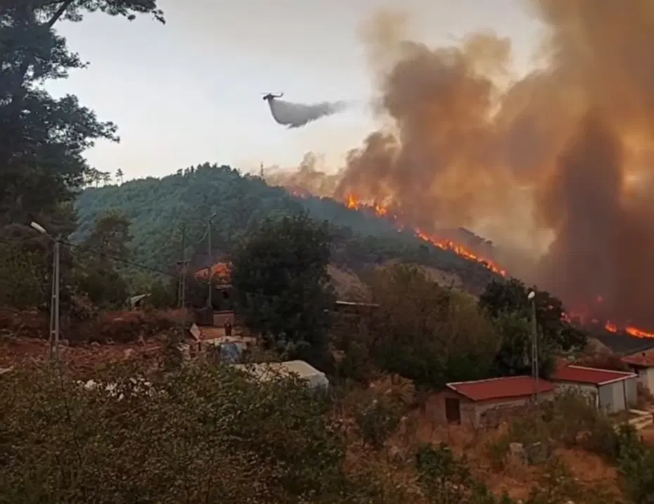 Antalya'da orman yangını. Alevler rüzgarın etkisiyle büyüdü