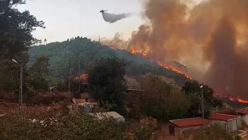 Antalya'da orman yangını. Alevler rüzgarın etkisiyle büyüdü