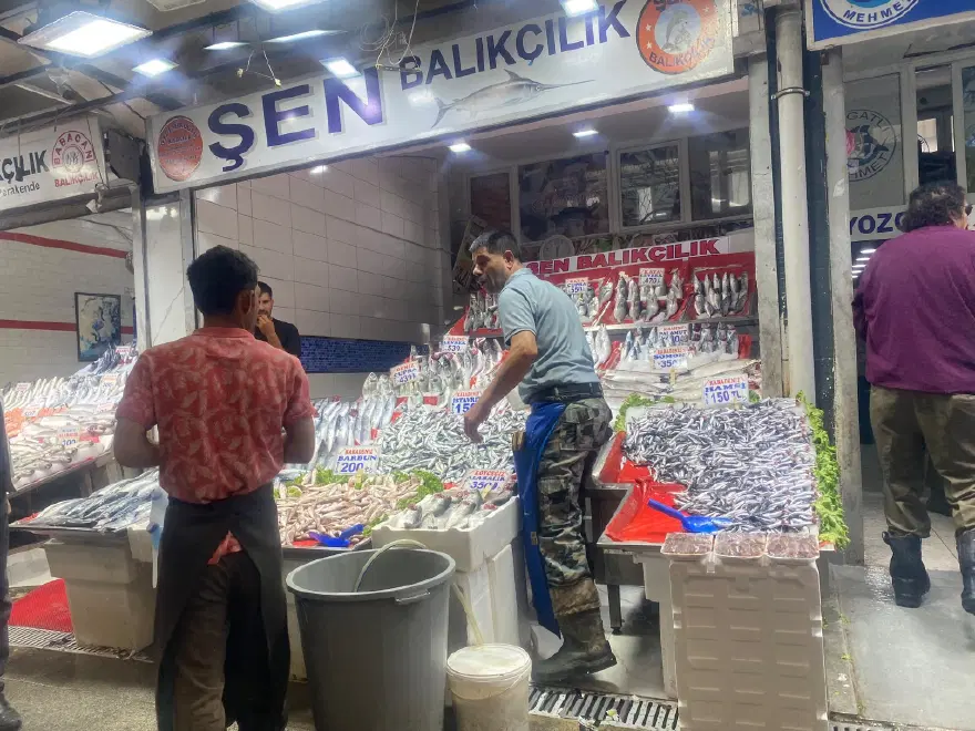 BU YIL BÜYÜK BALIK DA FAZLA 1