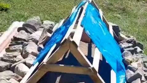 Rizeli vatandaşın ayı kabusu: Çareyi mezara köpek sesi kurmakta buldu
