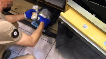 DAEŞ operasyonunda 7 tutuklama. Evlerde 6,5 kilo altın ele geçirildi