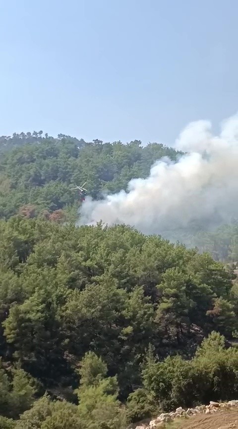 Kontrol altına alınan ormanlık alanda yeniden yangın çıktı