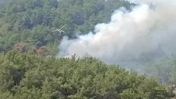 Kontrol altına alınan ormanlık alanda yeniden yangın çıktı