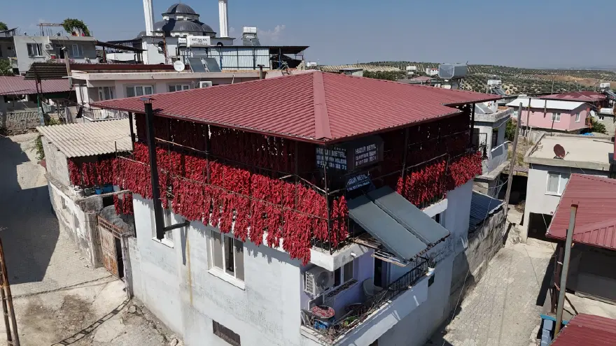 MAHALLENİN TEK GEÇİM KAYNAĞI 3