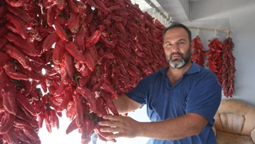 Acısı zehir gibi ama yapan paraya para demiyor. Demeti 500 TL'den alıcı buluyor