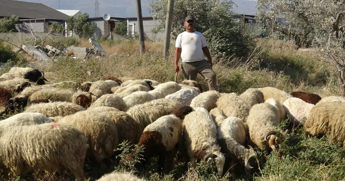 80 bin TL maaş veriyor, çalışacak adam bulamıyor. 40 derece sıcakta zorlu mesai