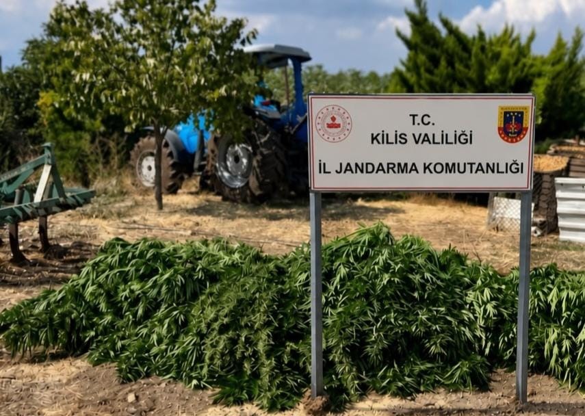 Kilis'te 40 kilo esrar ile 65 kök kenevir ele geçirildi