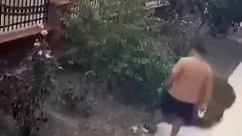 Günün notu | İzmir'de yavrulu kediye tekme atan saldırgan yakalandı