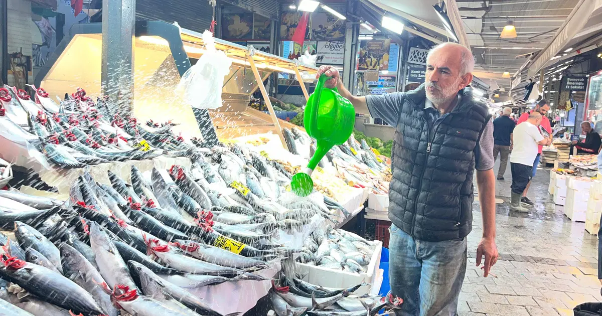Tezgahların şampiyonu oldu, tanesi 100 lira. Bu yıl bolluk yaşanıyor