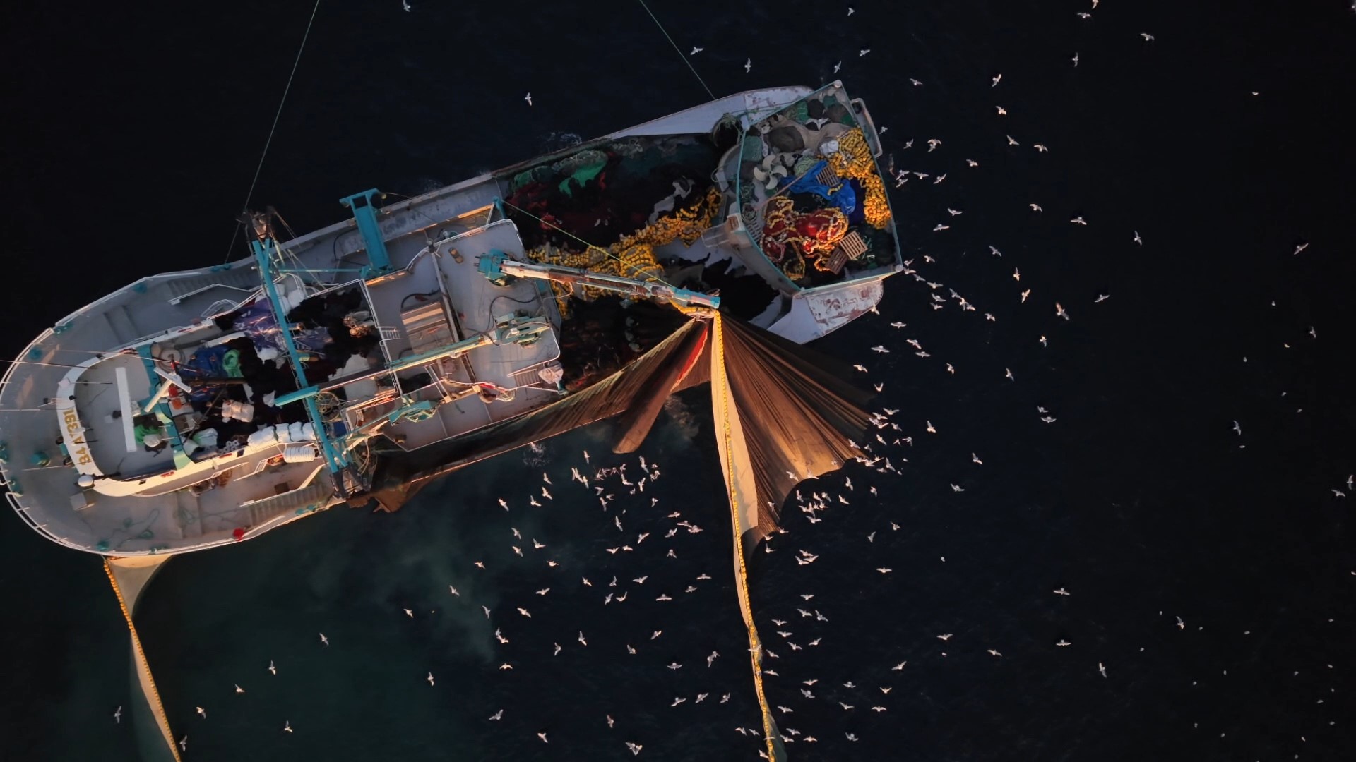 Marmara'da yüzlerce martının "kısmet" peşindeki mücadelesi drone ile görüntülendi