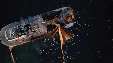 Marmara'da yüzlerce martının "kısmet" peşindeki mücadelesi drone ile görüntülendi