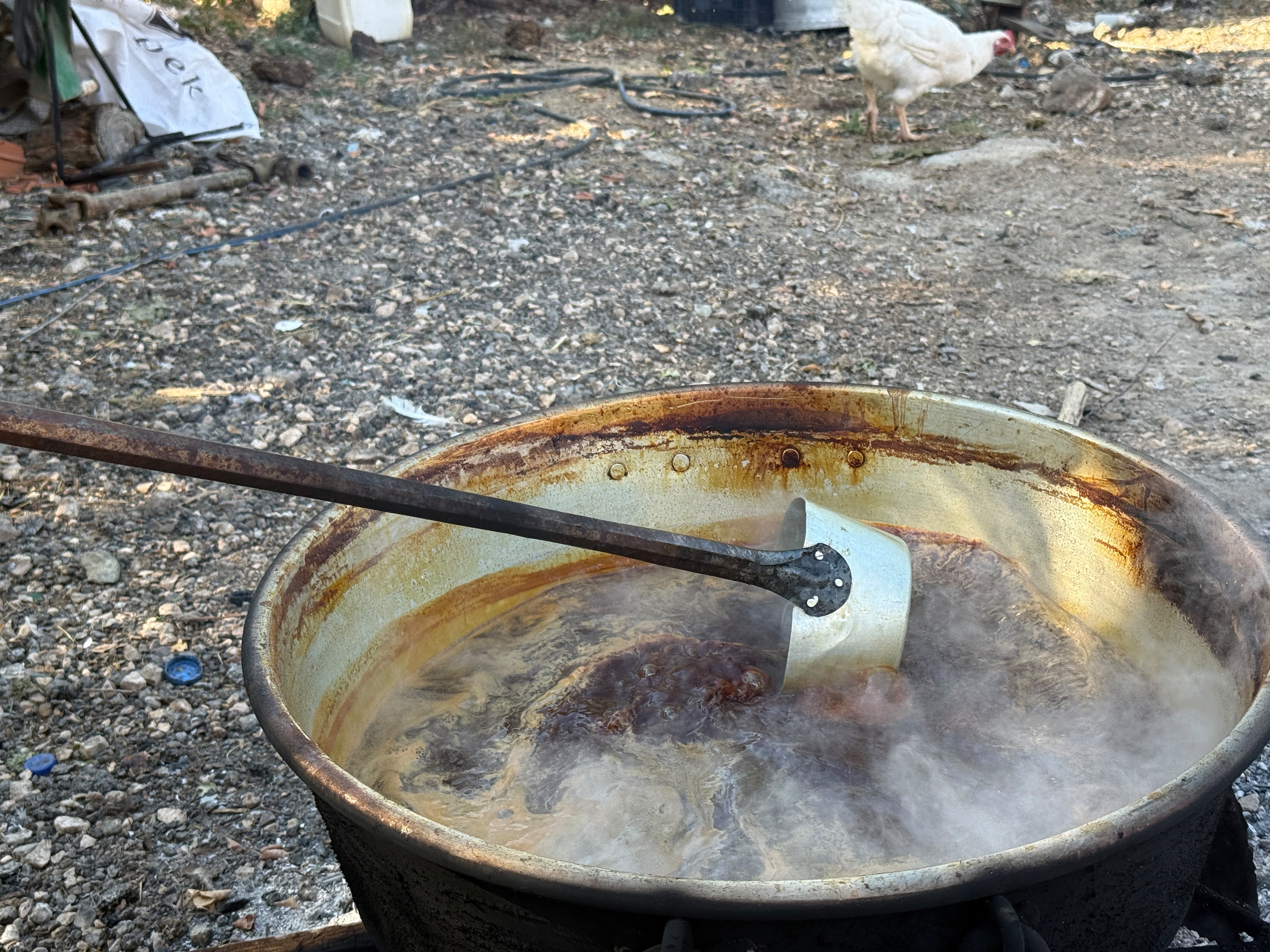 Şırası çıkarıldı, toprakla dinlendi. Kışın vazgeçilmezi