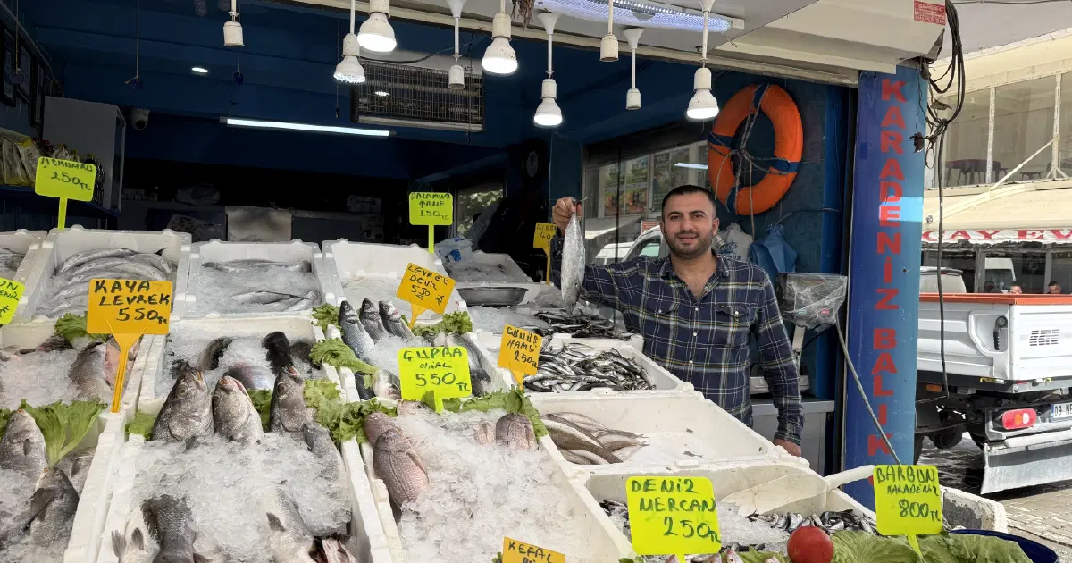 3 kilosu 100 TL. 10 gündür fiyatlar düşüyor