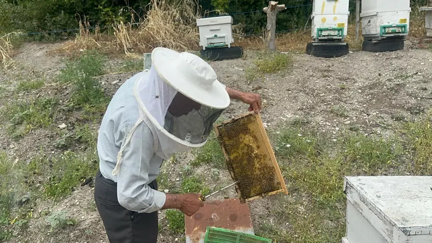 Hobi olarak başladı. Emekli başgardiyan ürettiği balı 20 yıldır Avrupa'ya gönderiyor 1 Hobi olarak başladı. Emekli başgardiyan ürettiği balı 20 yıldır Avrupa'ya gönderiyor 1