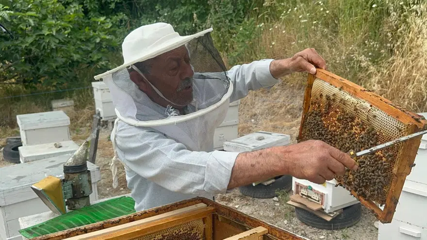 Hobi olarak başladı. Emekli başgardiyan ürettiği balı 20 yıldır Avrupa'ya gönderiyor Hobi olarak başladı. Emekli başgardiyan ürettiği balı 20 yıldır Avrupa'ya gönderiyor