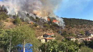 Bursa'da orman yangını