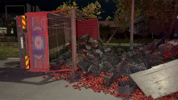 Samsun'da biber yüklü kamyon devrildi. 2 yaralı