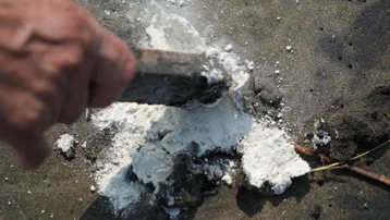 Samsun sahillerine vurdu, "Guar gum" çıktı. Doğal lif olarak biliniyor