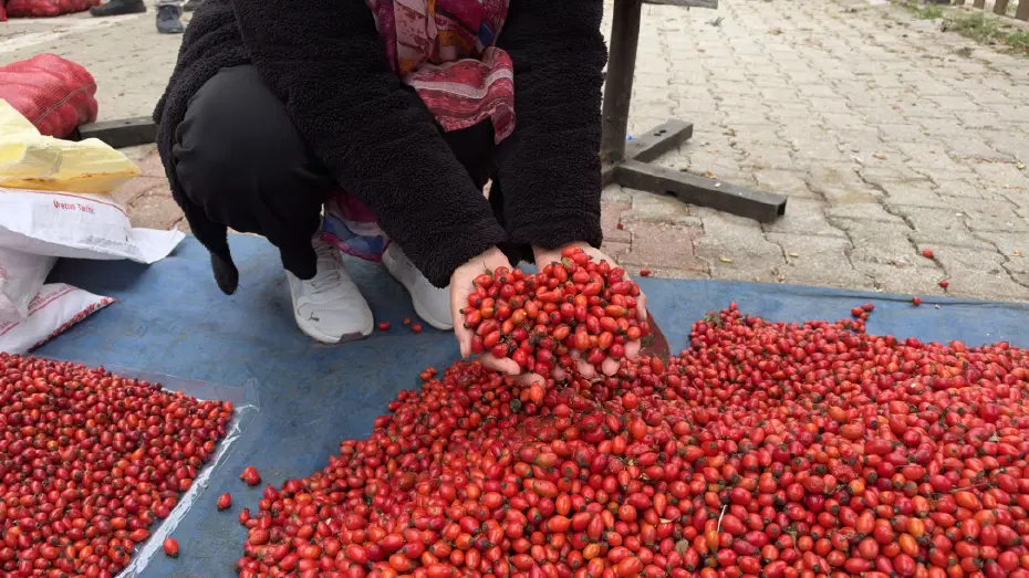 100 TL'den 50 TL'ye düştü. Demleyip içince hazımsızlığı gideriyor