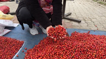 100 TL'den 50 TL'ye düştü. Demleyip içince hazımsızlığı gideriyor