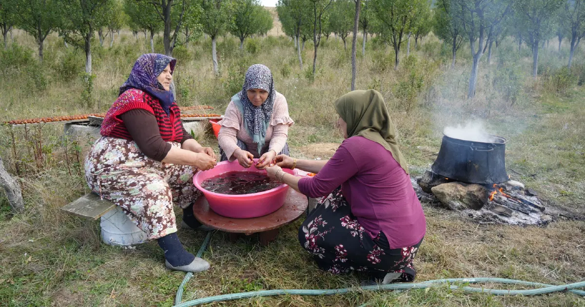 Sadece Kastamonu'da yetişiyor. Magnezyum, potasyum, demir deposuymuş