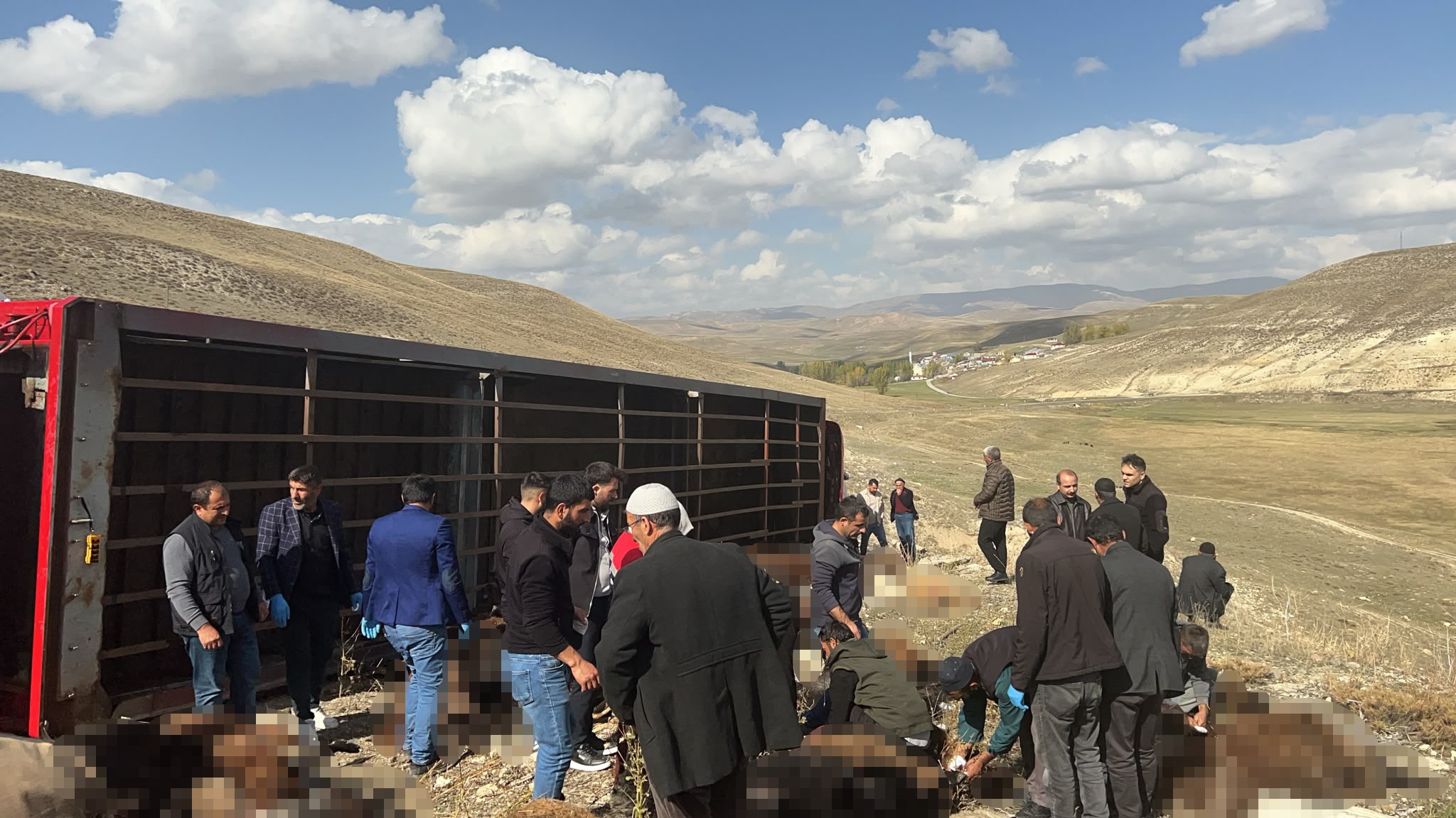 Erzurum'da 300 küçükbaş hayvan taşıyan tır devrildi: 130 hayvan telef oldu