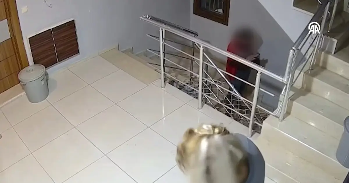 Ayakkabı hırsızlığı güvenlik kamerasında