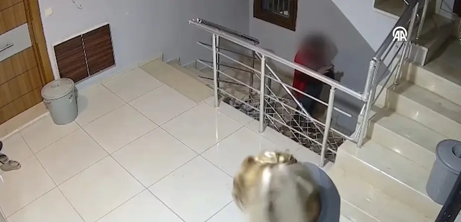  Ayakkabı hırsızlığı güvenlik kamerasında