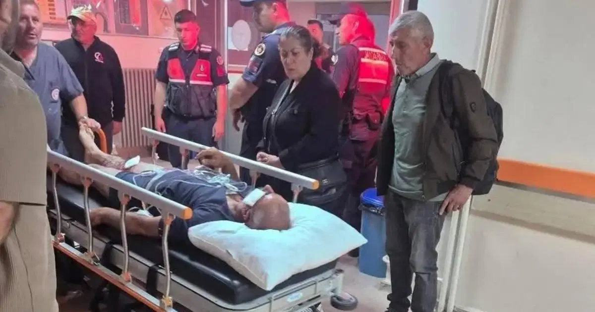 Ayı saldırısına uğradı, hayatını köpekleri kurtardı