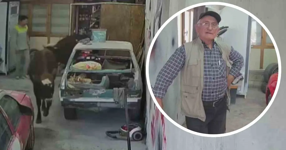 Danalar oto tamirciyi bastı, görgü tanığı: "Nazikçe geldiler, nazikçe gittiler"