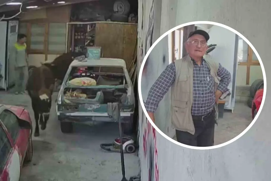 Danalar oto tamirciyi bastı, görgü tanığı: 