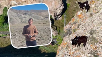 Teknolojinin imkanını kullanıyor, sarp kayalara çıkan keçilerini dron ile sürüye katıyor